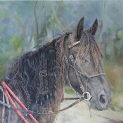 portrait-and-equine-artist-kristin-hardiman-2016-1.jpg